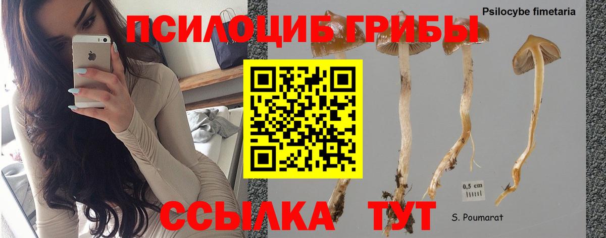 Галлюциногенные грибы Psilocybe  Галлюциногенные грибы Magic Shrooms  Вход с VPN  Тара 