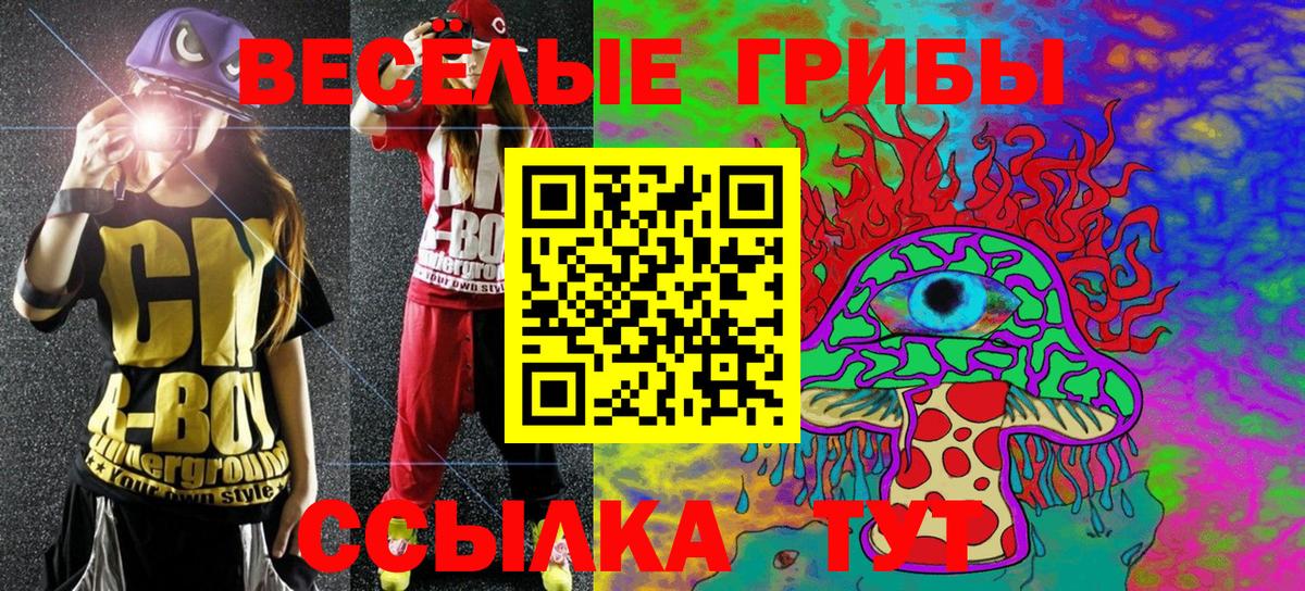 Псилоцибиновые грибы GOLDEN TEACHER Тара